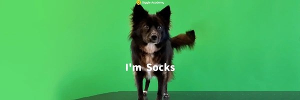 Giggle Academy Dog Token Header