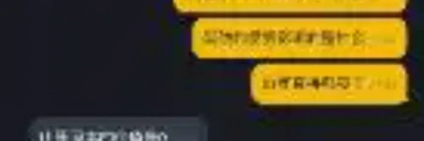 山寨原本的价值是0 Token Header