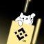 Binance 猫 Icon