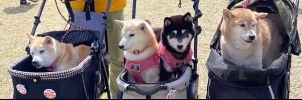 Riko Token Header
