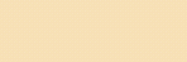 POGE Token Header