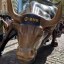 BNB Wallstreet Bull Icon
