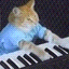 键盘猫 Icon