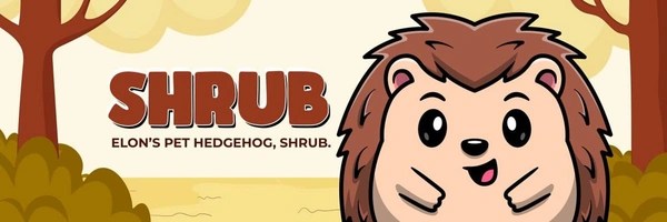 Shrub The Hedgehog Token Header
