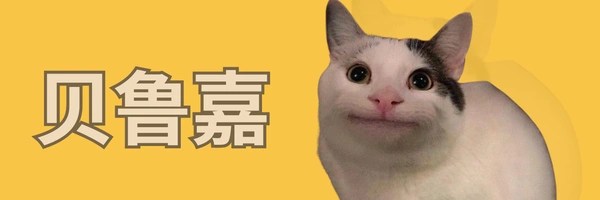 贝鲁嘉 Token Header