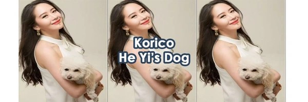 Korico Token Header