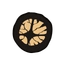 Disaster Icon