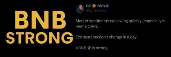BNBs Token Header