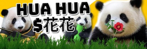 HuaHua Token Header