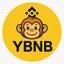 Yellow BNB Icon