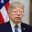 TRUMPTOSHI Icon