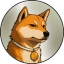 Naka Go Icon