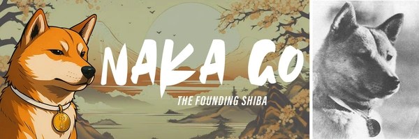 Naka Go Token Header