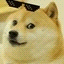 Doge Inu Icon