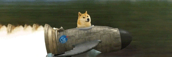 Doge Inu Token Header