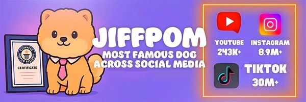 Jiffpom Token Header