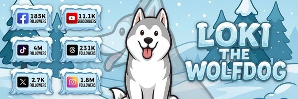 LOKI THE WOLFDOG Token Header