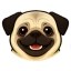 Doug the Pug Icon