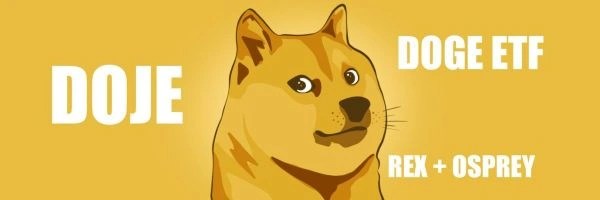 Doge ETF Token Header