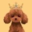 BunPoodle Icon