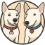 Biscuit Icon