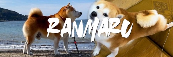 Ranmaru the Shiba Dog Token Header