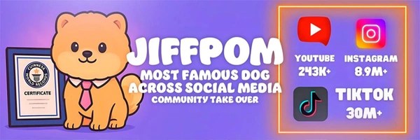Jiffpom Token Header