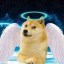 Kabosu Icon