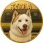 Siberian Husky Icon
