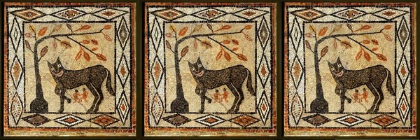 Dogenarii Token Header