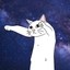Longcat Icon