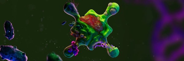 BIO Token Header