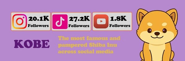 Kobe the Shiba Token Header