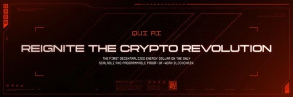 Quai Network Token Header