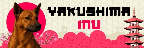 Yakushima Inu Token Header
