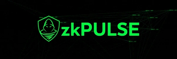 zkPULSE Token Header