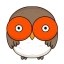 HOOT Icon