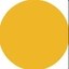 Brandless Coin Icon