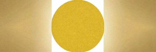Brandless Coin Token Header