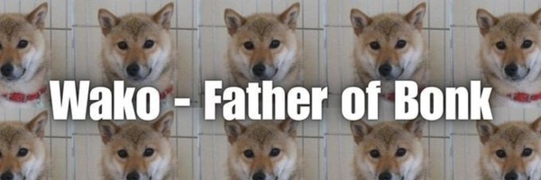Father of Bonk Token Header