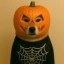 Hellowen Inu Icon