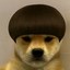 Dog Wif Bowl Icon