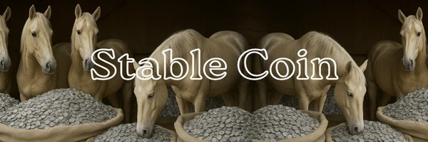 Stable Coin Token Header