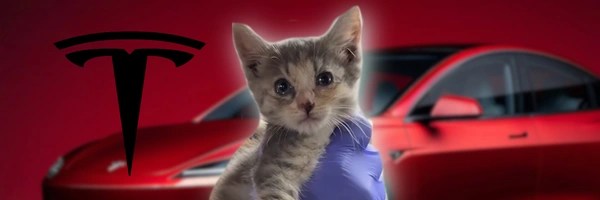 Tesla Tessi Token Header