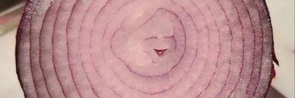 smiling onion Token Header