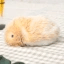 モフリン Icon