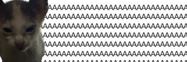 AAAAAAAAAAAAAAAAAAAAAAAAAAAAAA Token Header