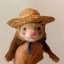 ferretwifhat Icon