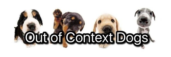 Out of Context Dogs Token Header