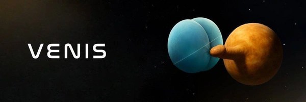 Venis  Token Header